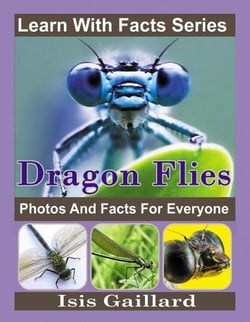 Dragonfly Photos and Facts for Everyone - Learn With Facts Series, #134
