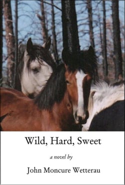 Wild, Hard, Sweet