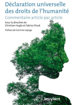 Déclaration universelle des droits de l'humanité - Commentaire article par article