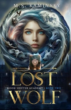 Lost Wolf - Moon Shifter Academy, #2