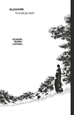 Bleach - T30 - Chapitre 268 - Tu ne dois pas mourir