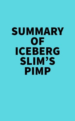 Summary of Iceberg Slim's Pimp -  