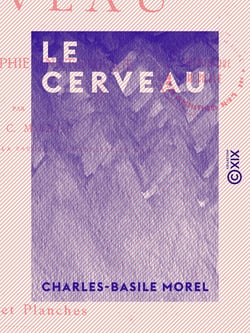 Le Cerveau - Sa topographie anatomique