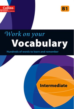 Vocabulary B1 - 1 year licence