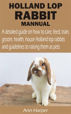HOLLAND LOP RABBIT MANNUAL - A detailed guide on how to care, feed, train, groom, health, house Holland lop rabbits and guidelines to raising them as