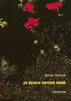 Zu Besuch unterm Mond - Gedichte