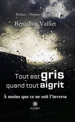 Tout est gris quand tout aigrit - À moins que ce ne soit l’inverse