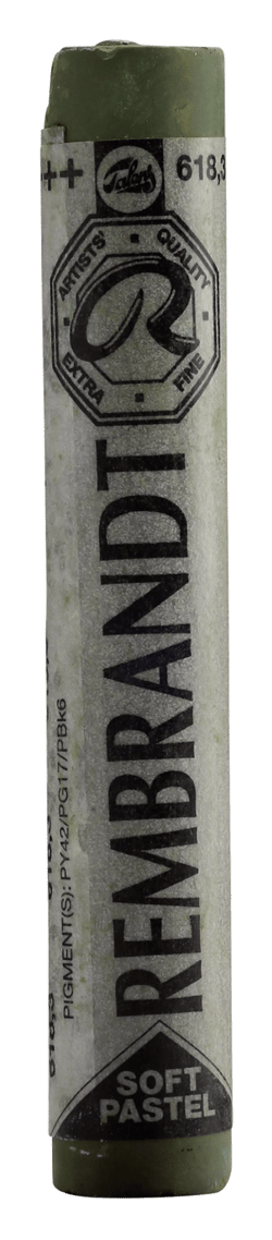 Pastel tendre Royal Talens - Rembrandt - Vert permanent clair 3 n°618.3