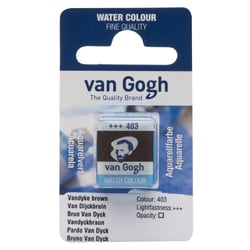 Demi-godet d'aquarelle fine Van Gogh - 403 Brun Van Dyck