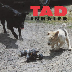 Inhaler - édition limitée colorée