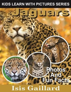 Jaguars Photos and Fun Facts for Kids - Kids Learn With Pictures, #52