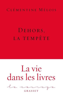 Dehors, la tempête - Collection Le Courage