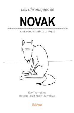 Les Chroniques de Novak