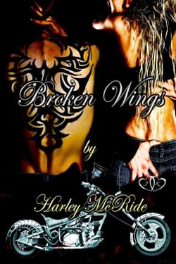 Broken Wings - Lady Riders, #3