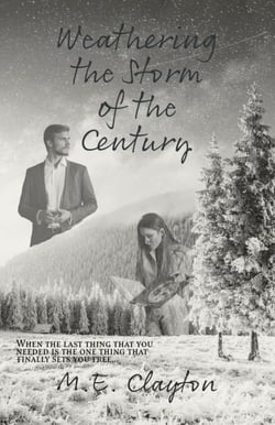 Weathering the Storm of the Century - The Storm Series, #4