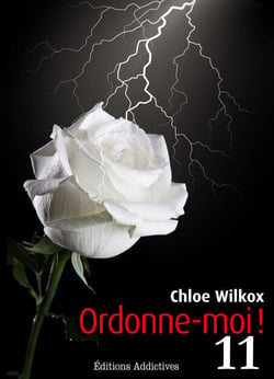 Ordonne-moi ! - vol. 11