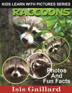 Raccoons Photos and Fun Facts for Kids - Kids Learn With Pictures, #70