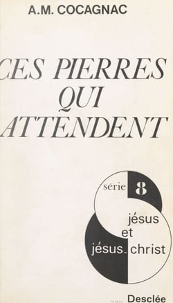 Ces pierres qui attendent - Pour un dialogue entre l'indouisme et le christianisme