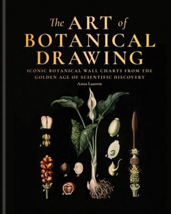 The Art of Botanical Painting - Art from the golden age of scientific discovery