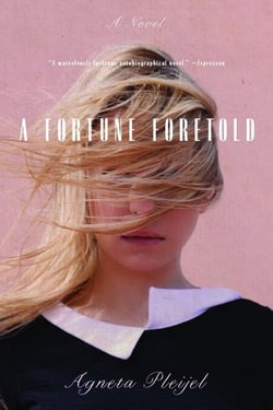 A Fortune Foretold - A Novel
