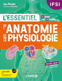 IFSI - L'essentiel de l’anatomie et de la physiologie humaines en fiches - 57 fiches - Plus de 170 illustrations