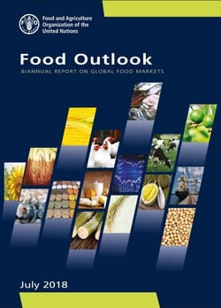 Food Outlook: Biannual Report on Global Food Markets July 2018