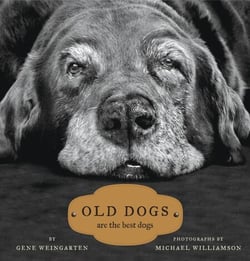 Old Dogs - Are the Best Dogs