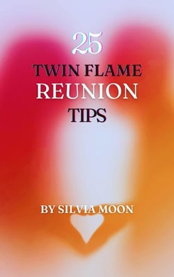 The 25 Insightful Reunion Tips : A Quick Guide For Twin Flame Newbies (Twin Flame Reunion Self-help Guides) - Twin Flame Union