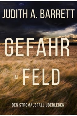 Gefahr im Feld - Den Stromausfall Überleben, #4