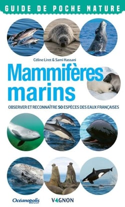 Mammifères marins - Observer et reconnaître 50 espèces des eaux françaises