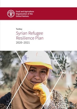 Turkey – Syrian Refugee Resilience Plan 2020–2021