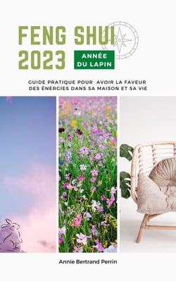 Feng shui 2023  Année du Lapin - Guide pratique pour avoir la faveur des énergies dans sa maison et sa vie
