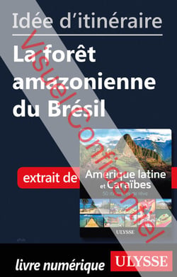Id?e d'itin?raire - La for?t amazonienne du Br?sil