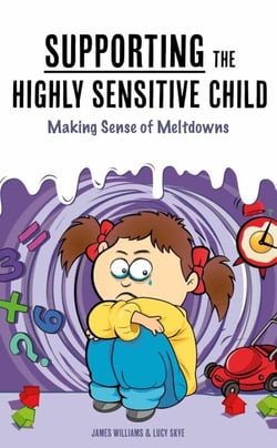 Supporting the Highly Sensitive Child:  Making Sense of Meltdowns - A Nutshell Guide, #3