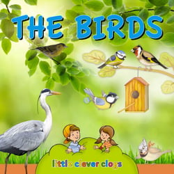 The birds - Learn All There Is to Know About These Animals!