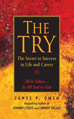 The Try - The Secret to Success in Life and Career