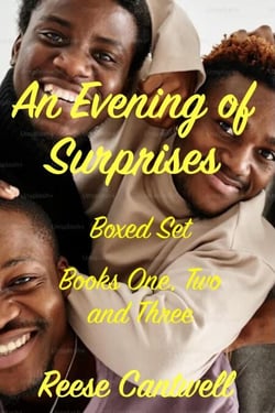 An Evening of Surprises: Boxed Set: Books One, Two and Three - Reese's BOXED SETS