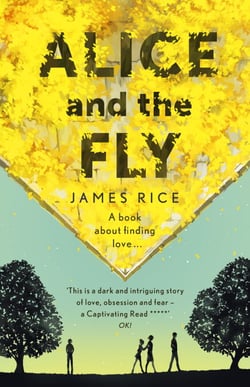 Alice and the Fly - 'a darkly quirky story of love, obsession and fear' Anna James