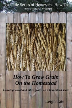 How To Grow Grain On the Homestead: Growing wheat and other grains on a homestead scale - The Little Series of Homestead How-Tos from 5 Acres &amp; A Dream, #15