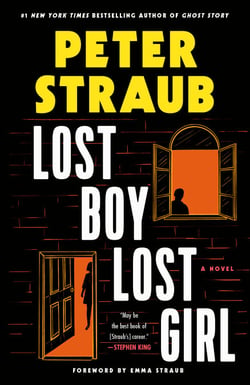 Lost Boy Lost Girl - A Novel
