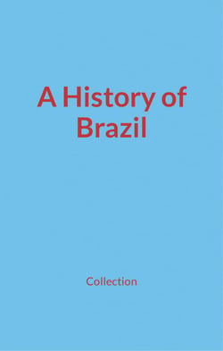 A History of Brazil