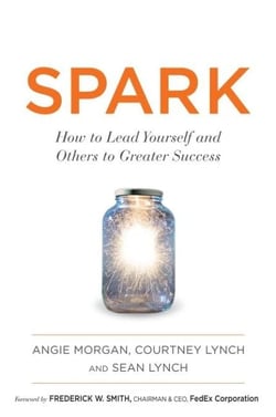 Spark - How to Lead Yourself and Others to Greater Success
