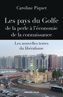 Les pays du Golfe de la perle à l'économie de la connaissance - Les nouvelles terres du libéralisme