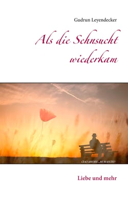 Als die Sehnsucht wiederkam - Liebe und mehr