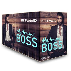 Mysterious Boss – L’intégrale
