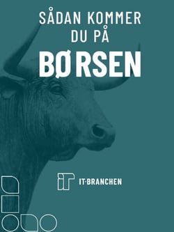 Sådan kommer du på børsen - I denne guide har vi beskrevet de enkelte faser af en IPO, så du kan få en ide om, hvad der skal til, og hvilke faser du skal igennem.
