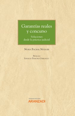 Garantías reales y concurso: soluciones desde la práctica judicial