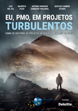 Eu, PMO, em projetos turbulentos - Como os gestores de projetos devem atuar em meio ao caos