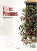 Flores Perennes
