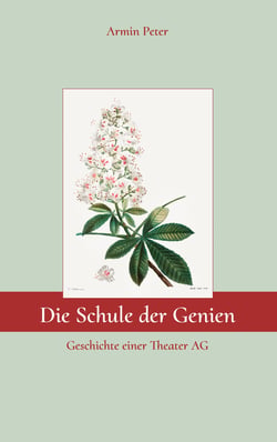Die Schule der Genien - Geschichte einer Theater AG